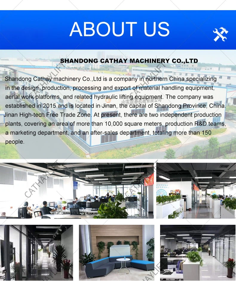 mini crawler crane 11